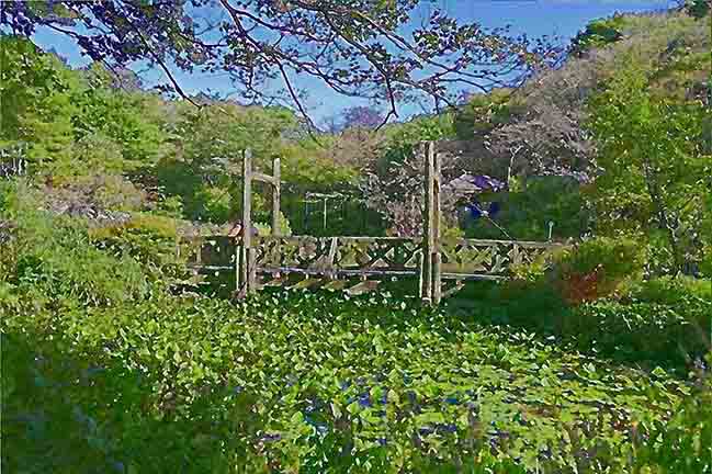 芦屋プラン株式会社七夕（たなばた1 Copilot